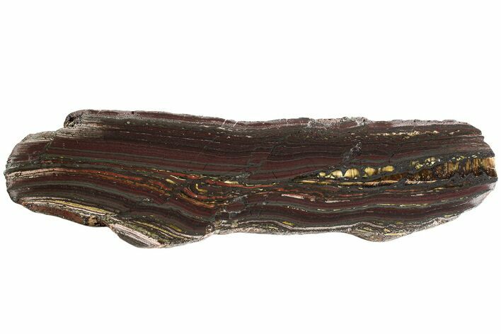 Polished Tiger Iron Stromatolite Slab - Billion Years #221993